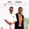 Tef Mula - SUGARCANE (feat. E2M)