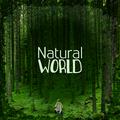 Natural World