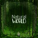 Natural World专辑