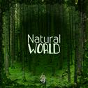 Natural World专辑