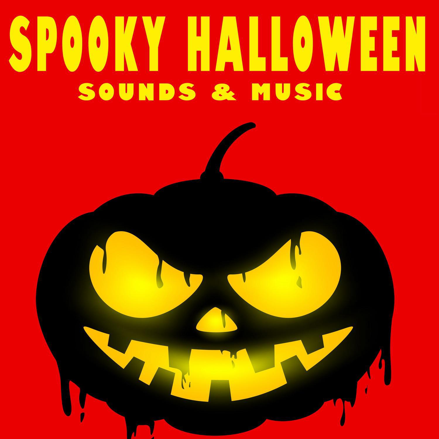 The Hollywood Edge Sound Effects Library - Spooky Forest at Night