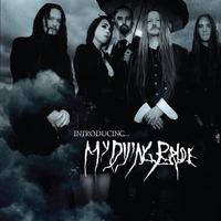 My Dying Bride - The Snow In My Hand (unofficial Instrumental)