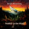 Brian McGravey - Feather in the Wind