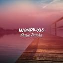 #12 Wondrous Music Tracks for Meditation and Sleep专辑