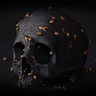 【 沉浸在黑金氛围 $ 底层说唱的洗礼 〗