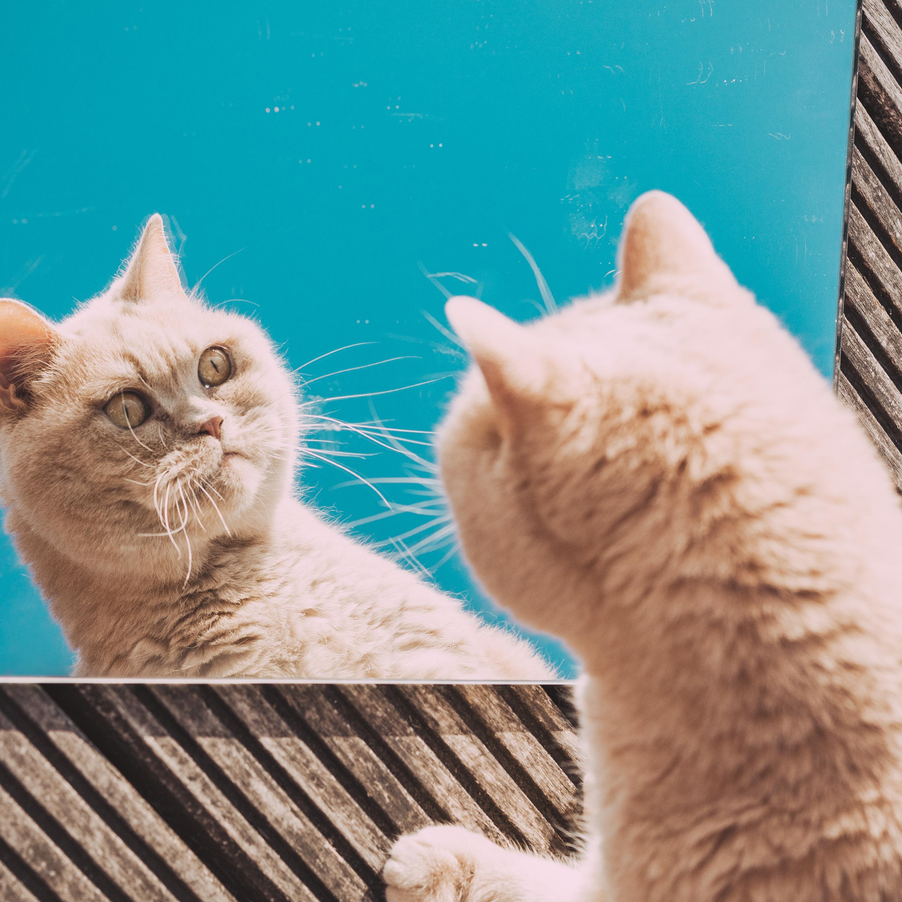 Humorous Moments