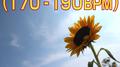 Running Music (170 - 190bpm): Pachelbel's Canon in Various Tempos, Classical for Your Workout专辑