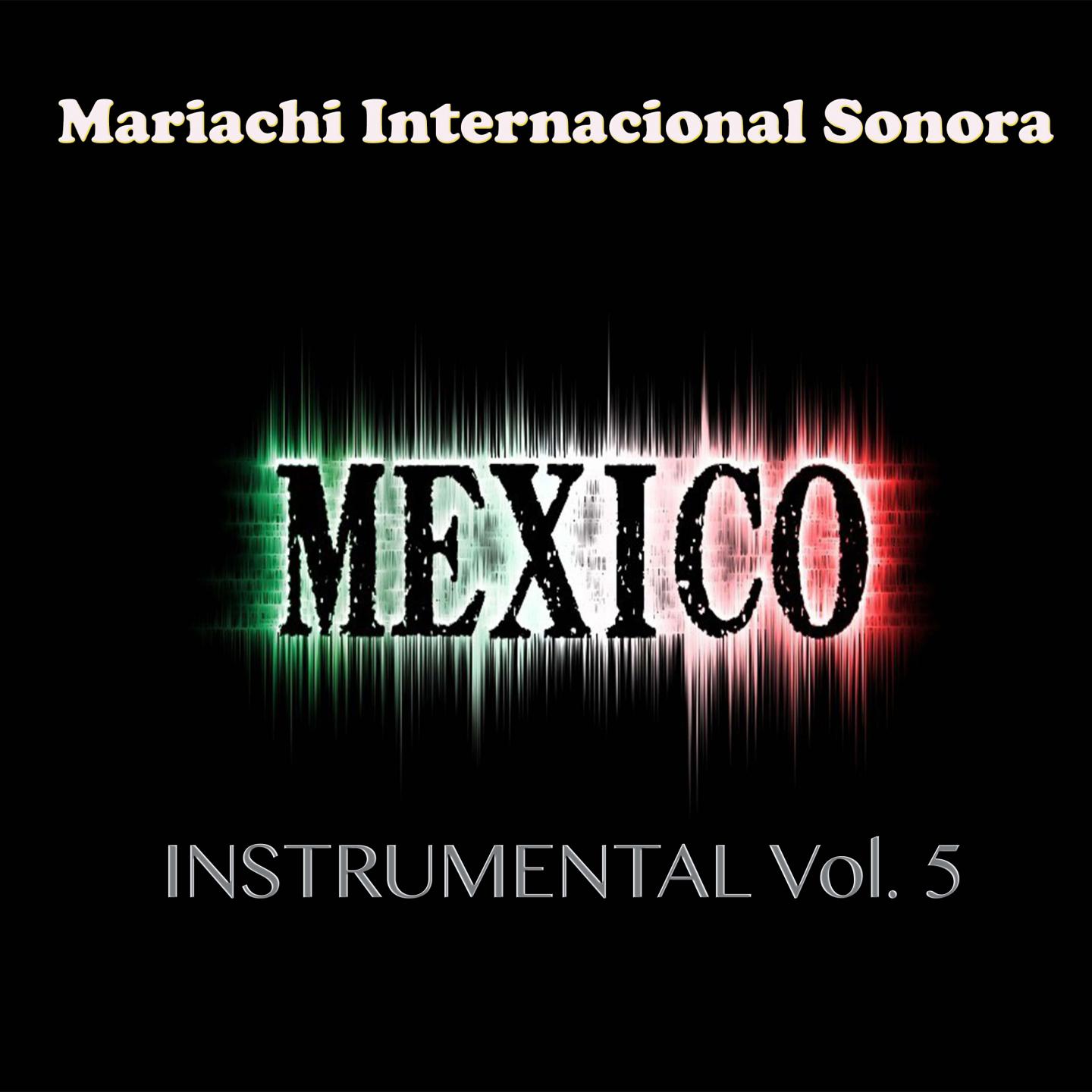 Mexico Instrumental Vol. 5专辑