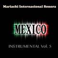 Mexico Instrumental Vol. 5