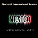 Mexico Instrumental Vol. 5专辑