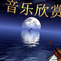 爱你在心口难开+犯错（最新舞曲慢摇资料5.18）