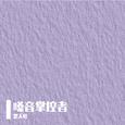 嗓音掌控者