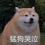 专辑《后来》
