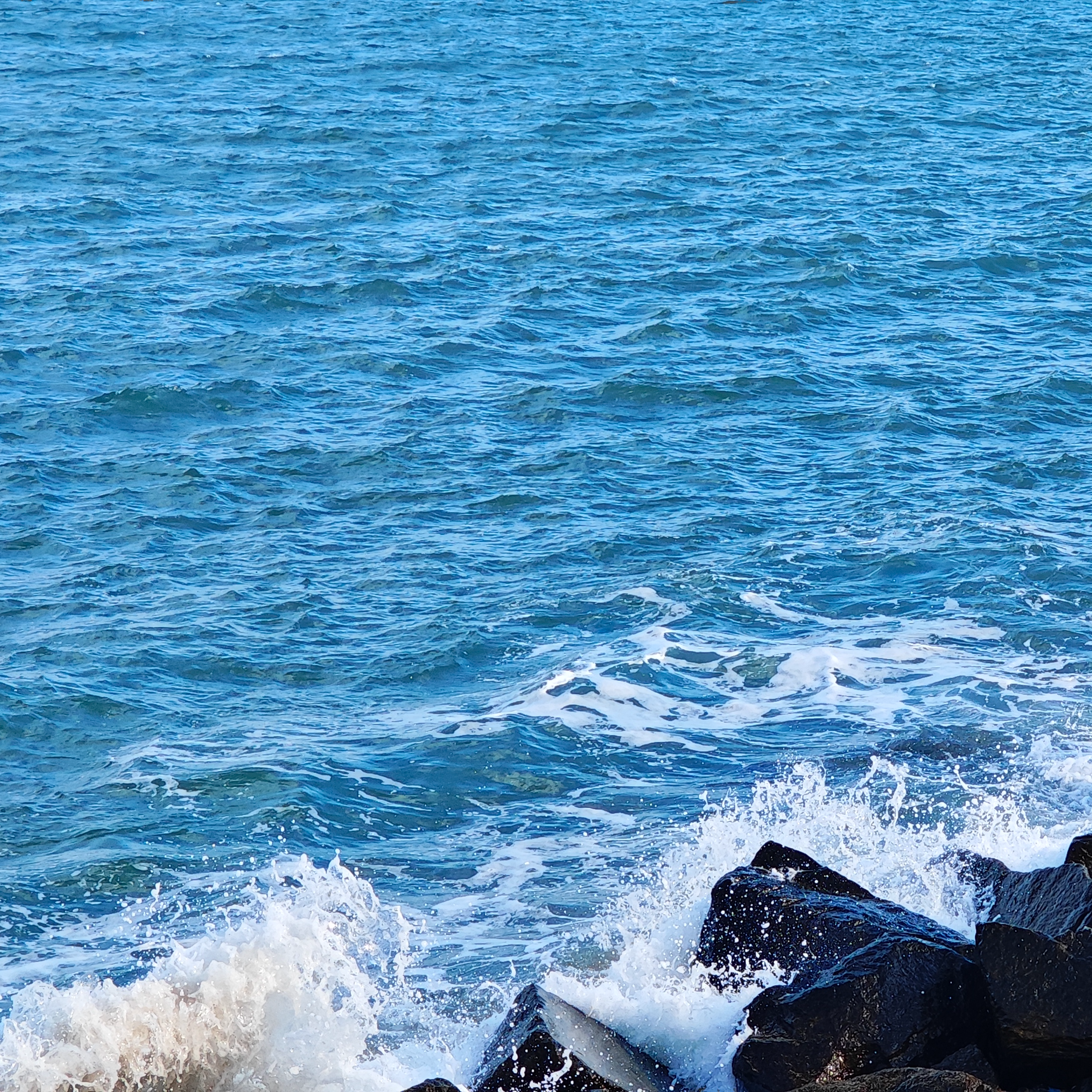 Losing you-[XG VOX #6]