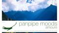 Panpipe Moods: Amoure专辑
