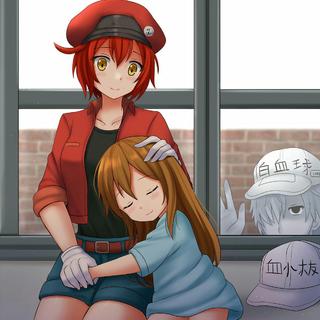 工作细胞（OP ED 血小板之歌已更）