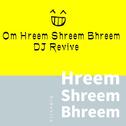 Hreem Shreem Bhreem