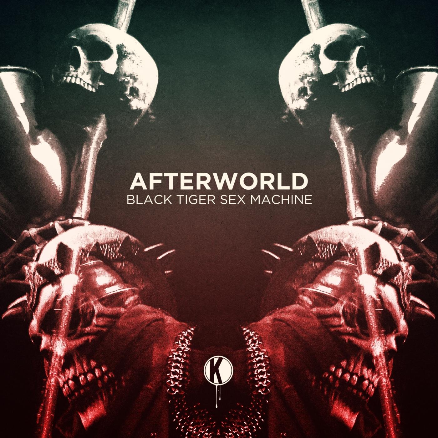 Afterworld feat. Panther (Mandragora Remix)