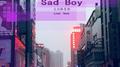 大北路男孩 / Sad Boy专辑