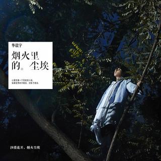 烟火里的尘埃 郁欢 关注私信我发给你们