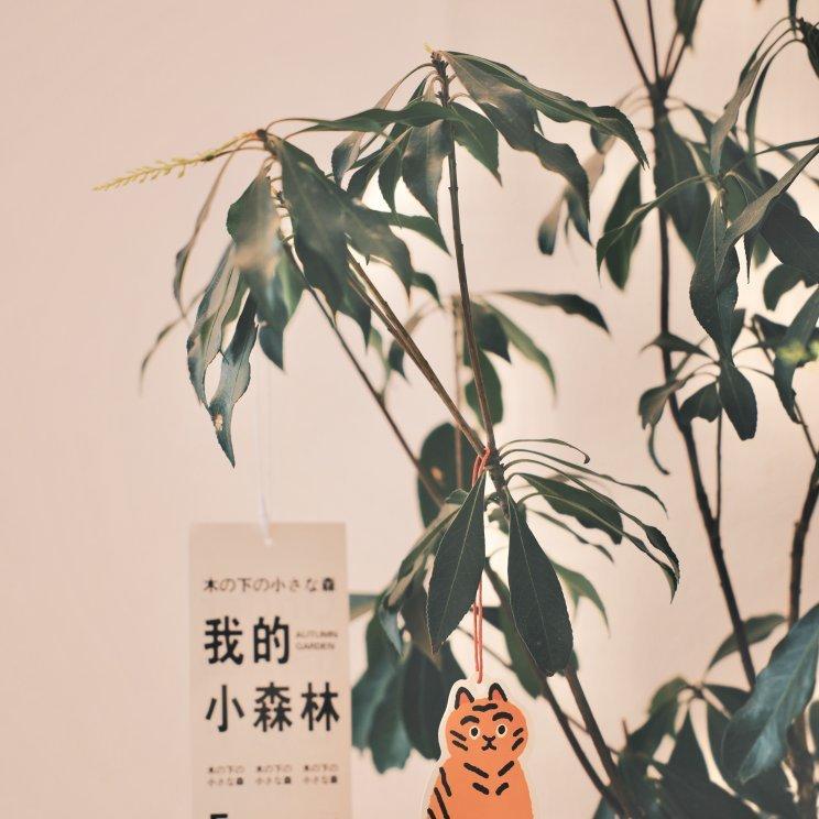 书本爵士的库涅花园