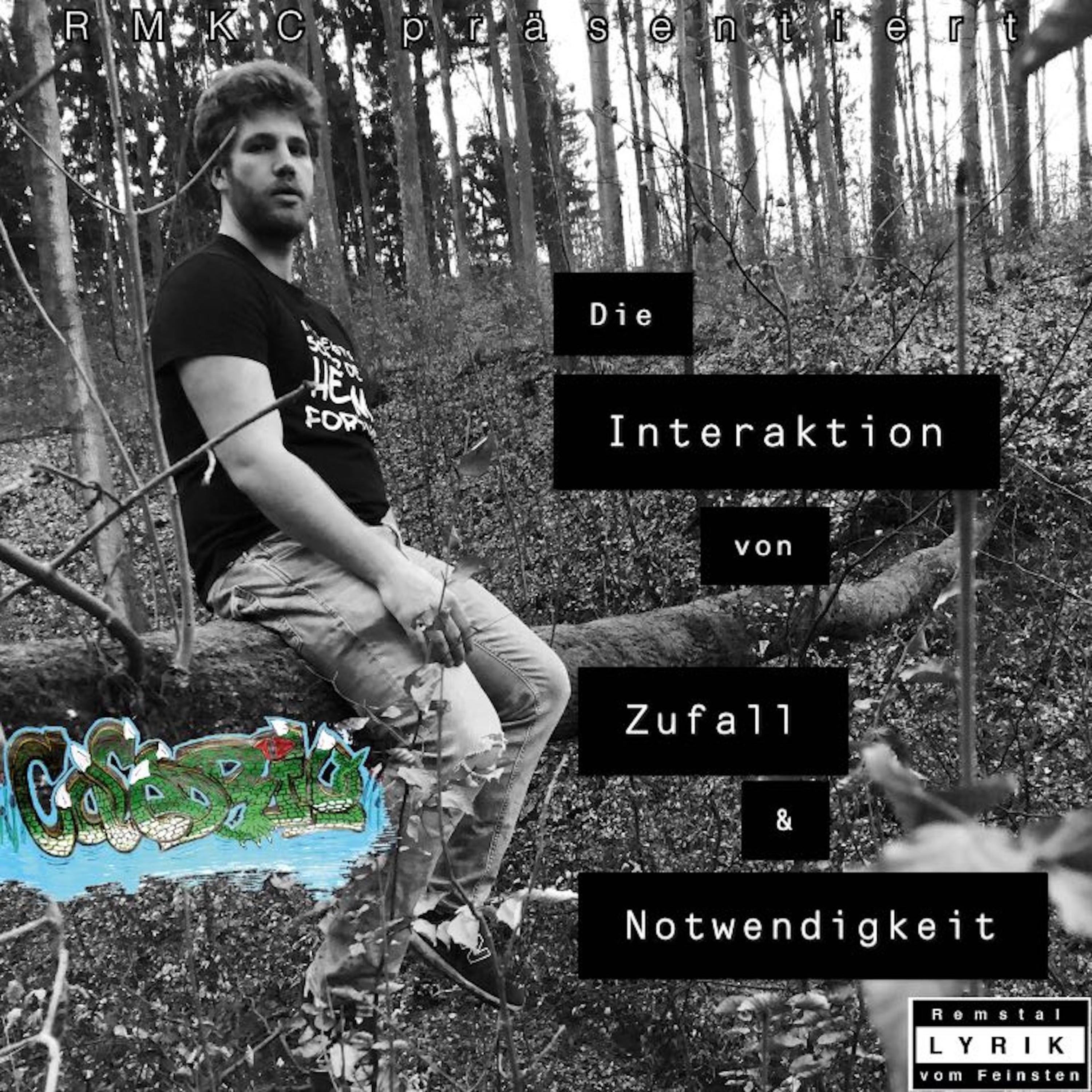 Die Interaktion von Zufall und Notwendigkeit