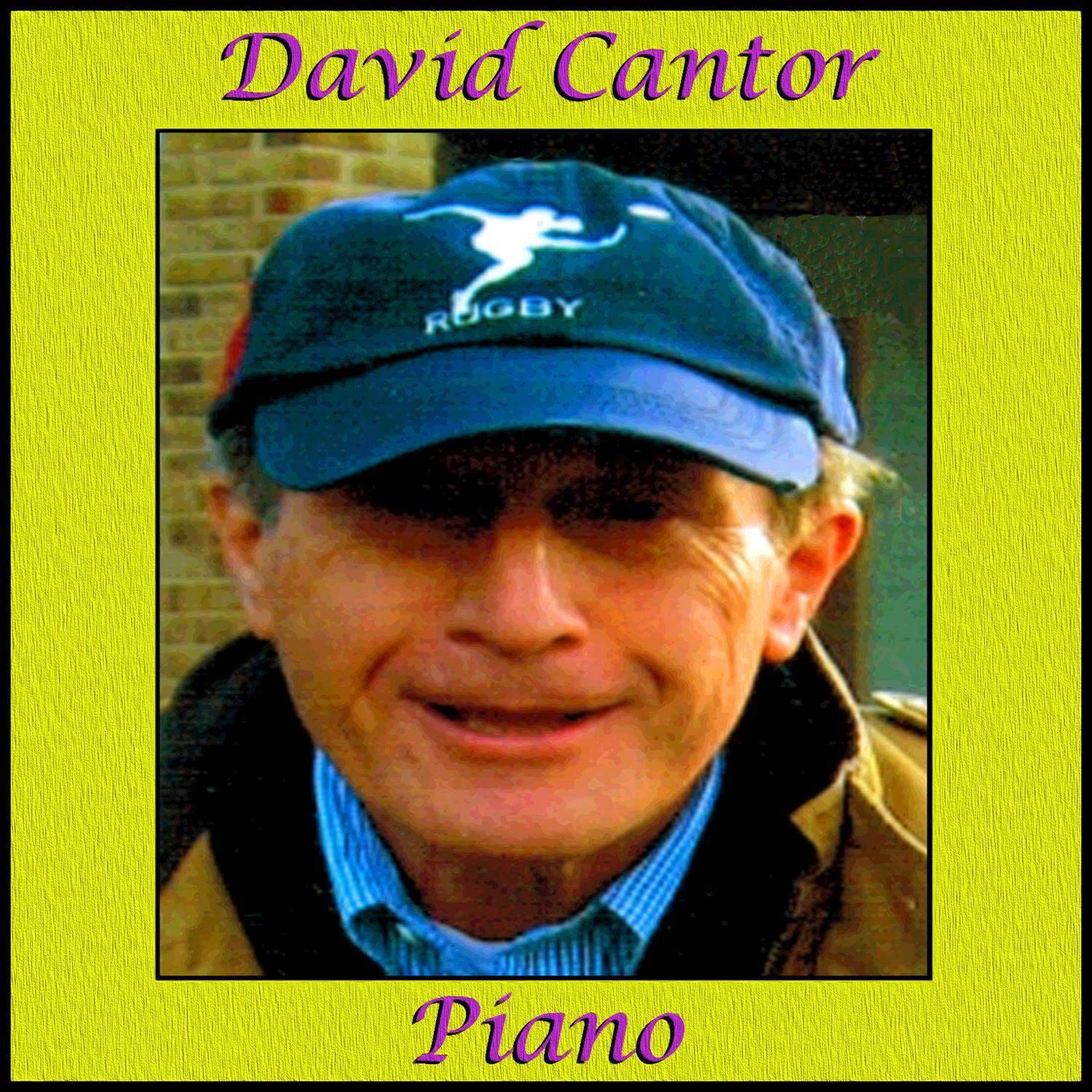 David Cantor - Piano