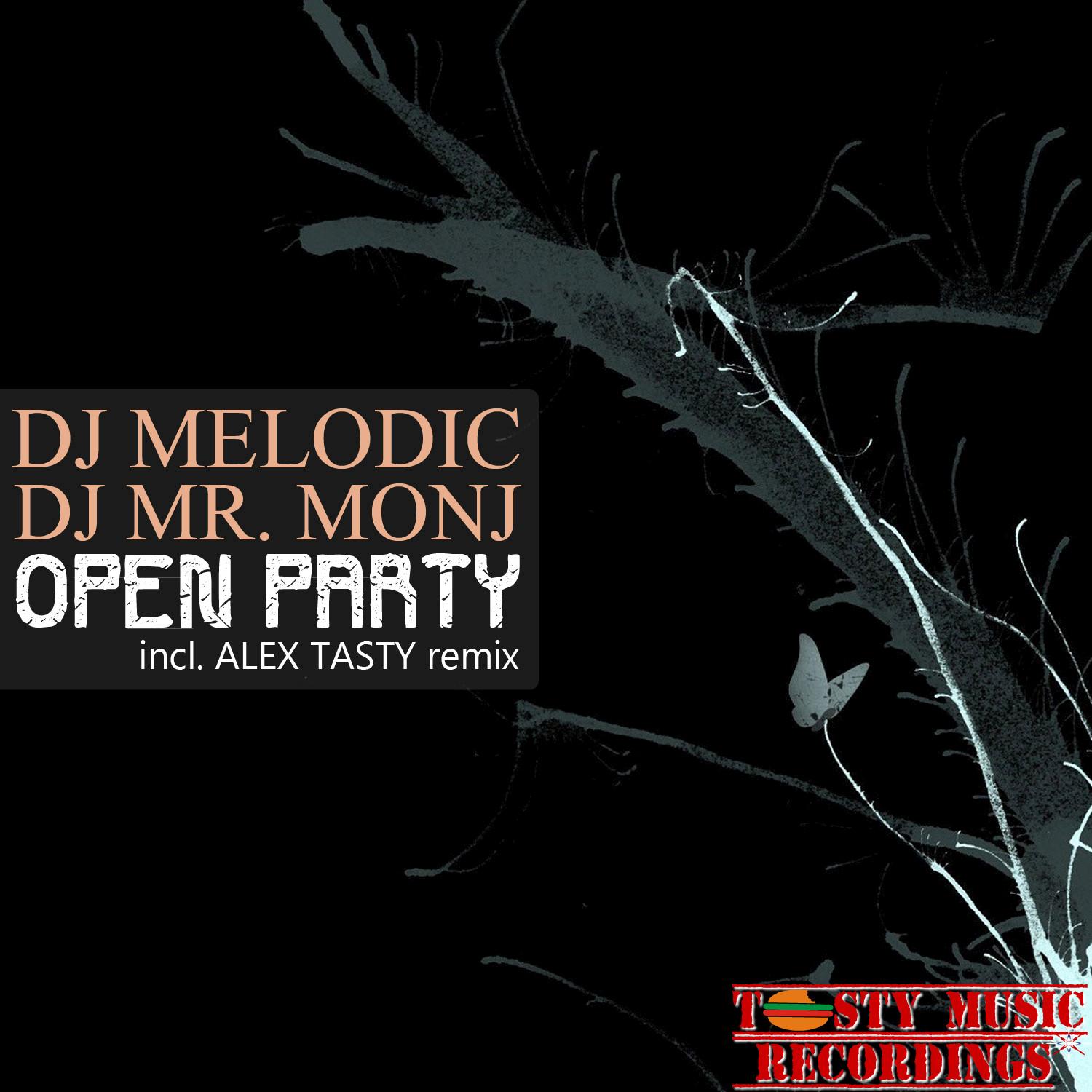 Open Party