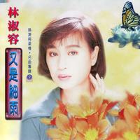 林淑蓉 - 你可知道我爱谁(原版伴奏)