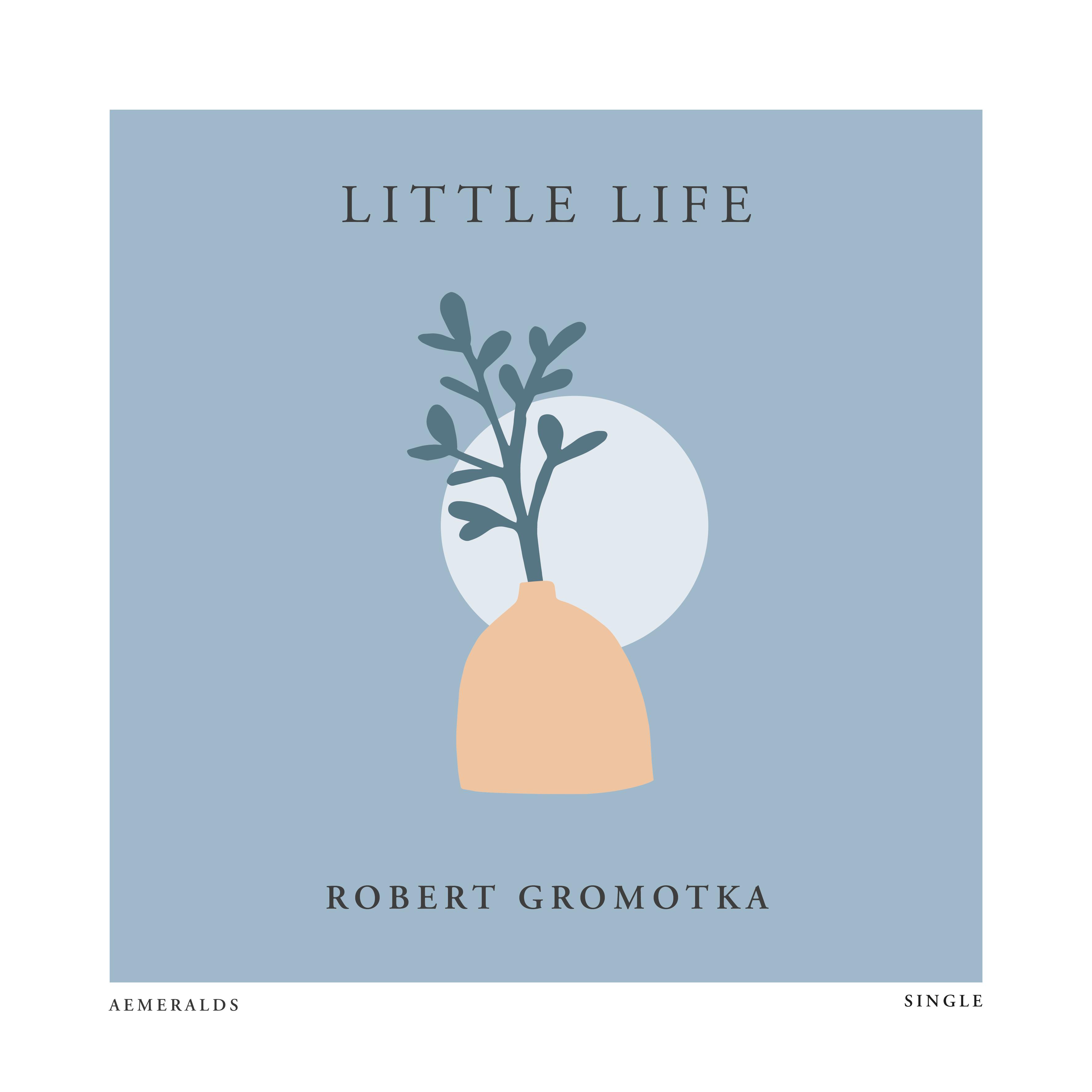 Little Life