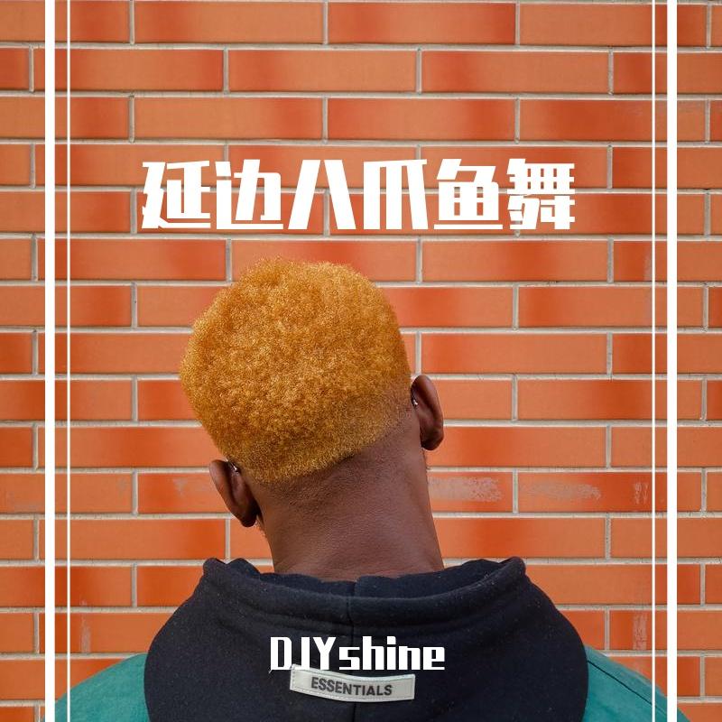 FFAG-Greg Parys-Why Don't We Just (延边八爪鱼)(DJYshine / FFAG remix)