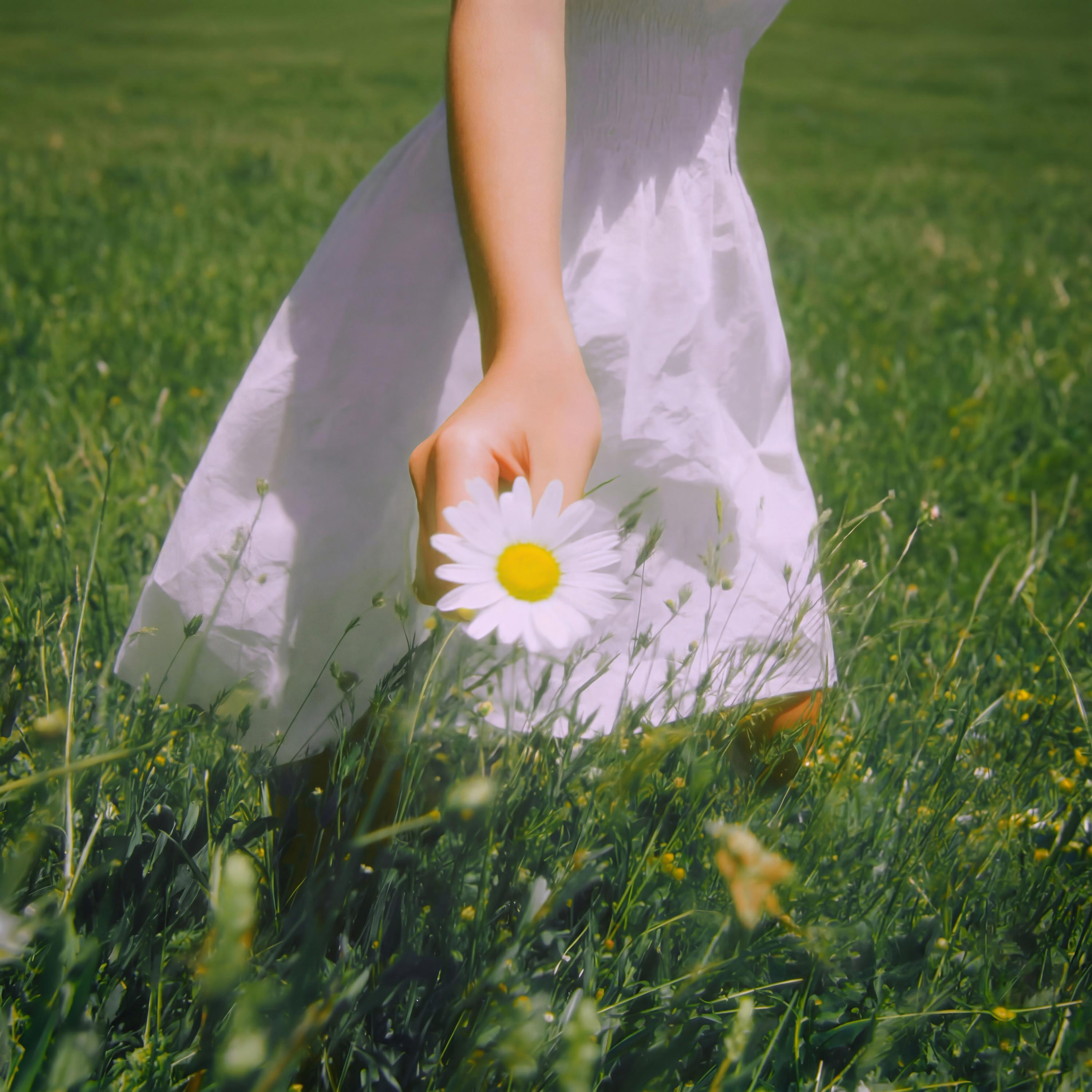 DAISY
