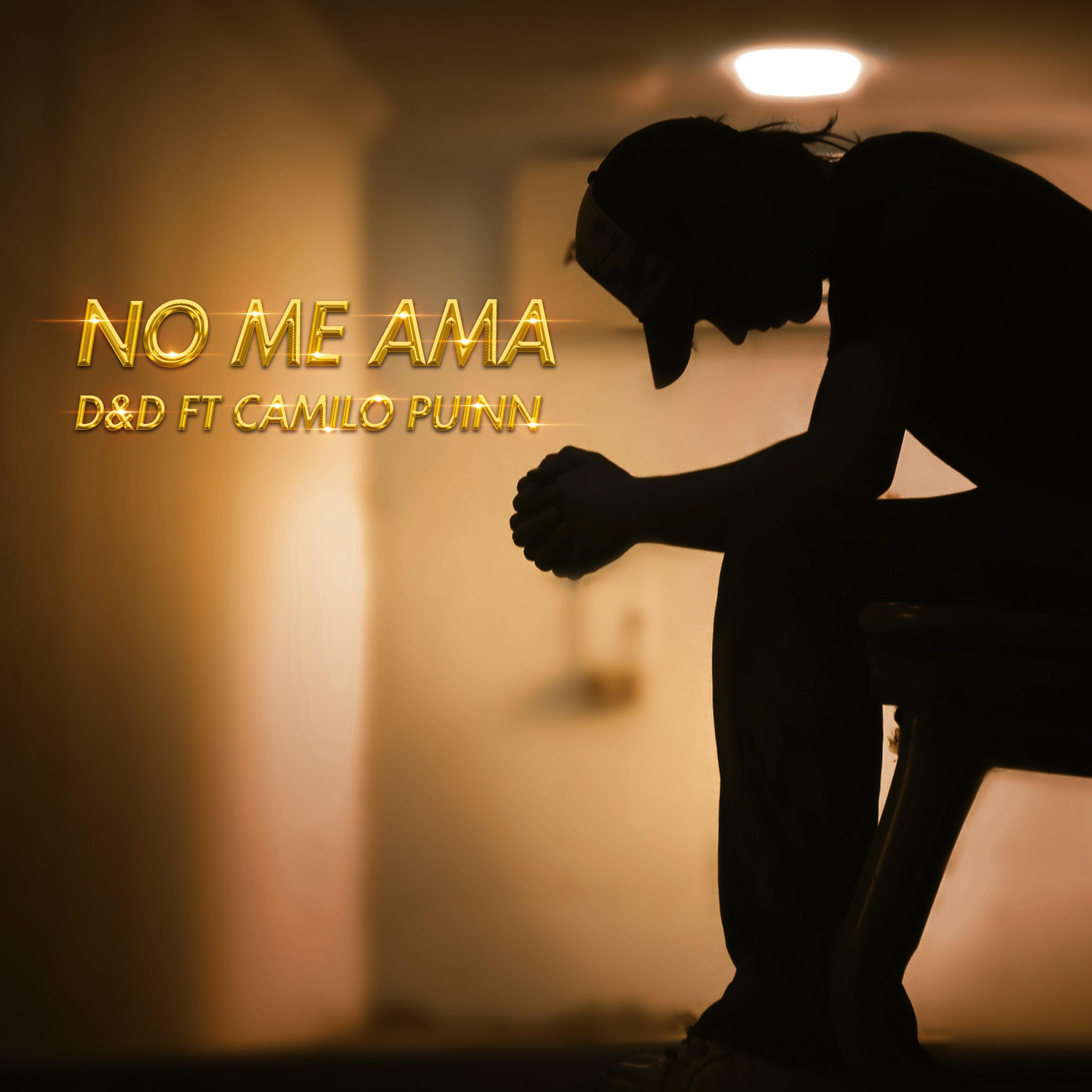 No Me Ama (feat. Camilo Puinn)专辑