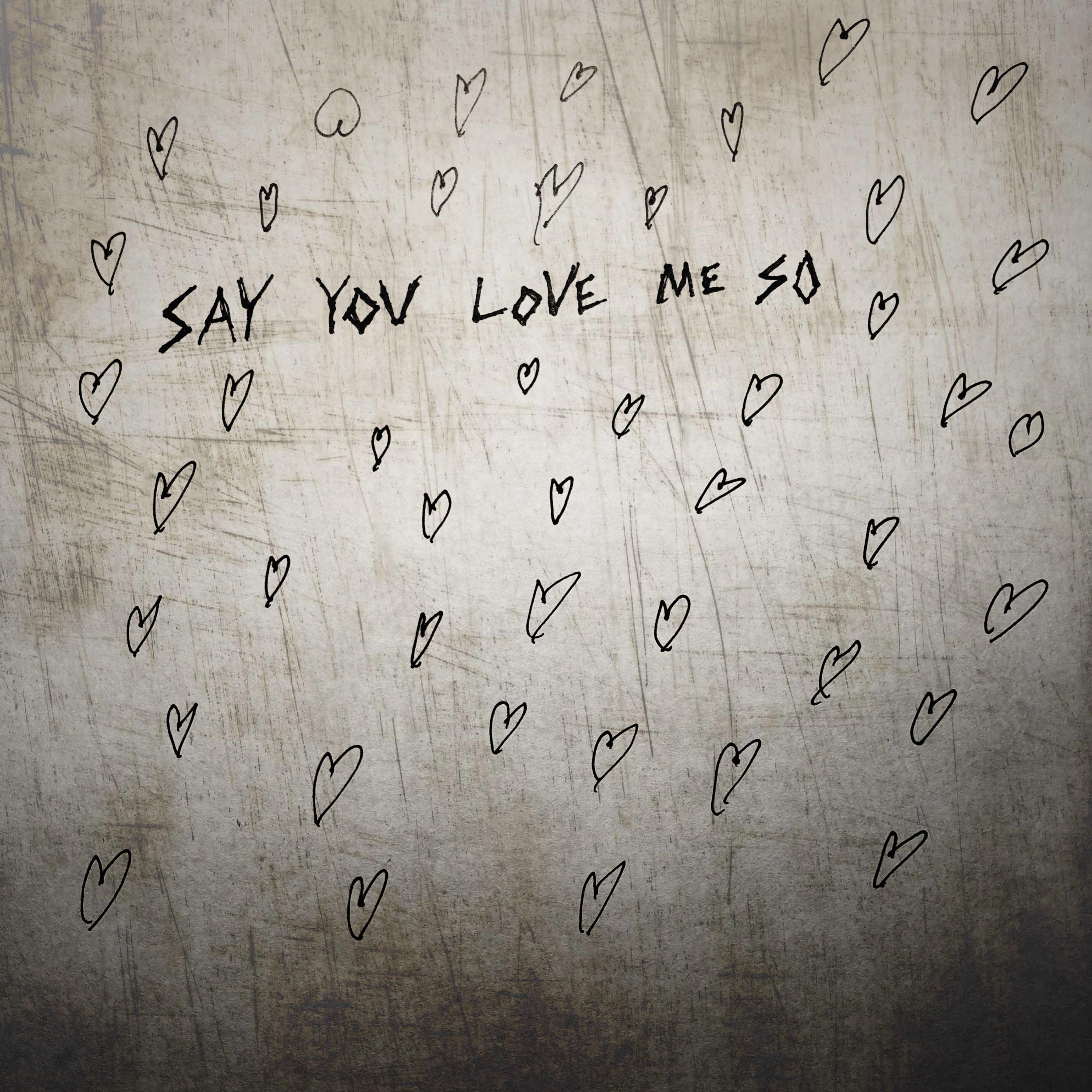 Say You Love Me So