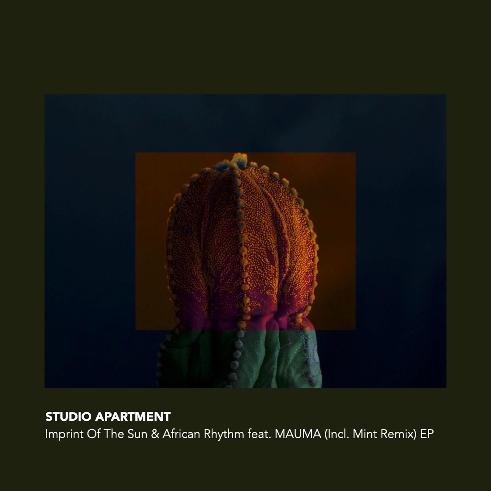 Imprint Of The Sun & African Rhythm (Incl. MINT (JPN) Remix)