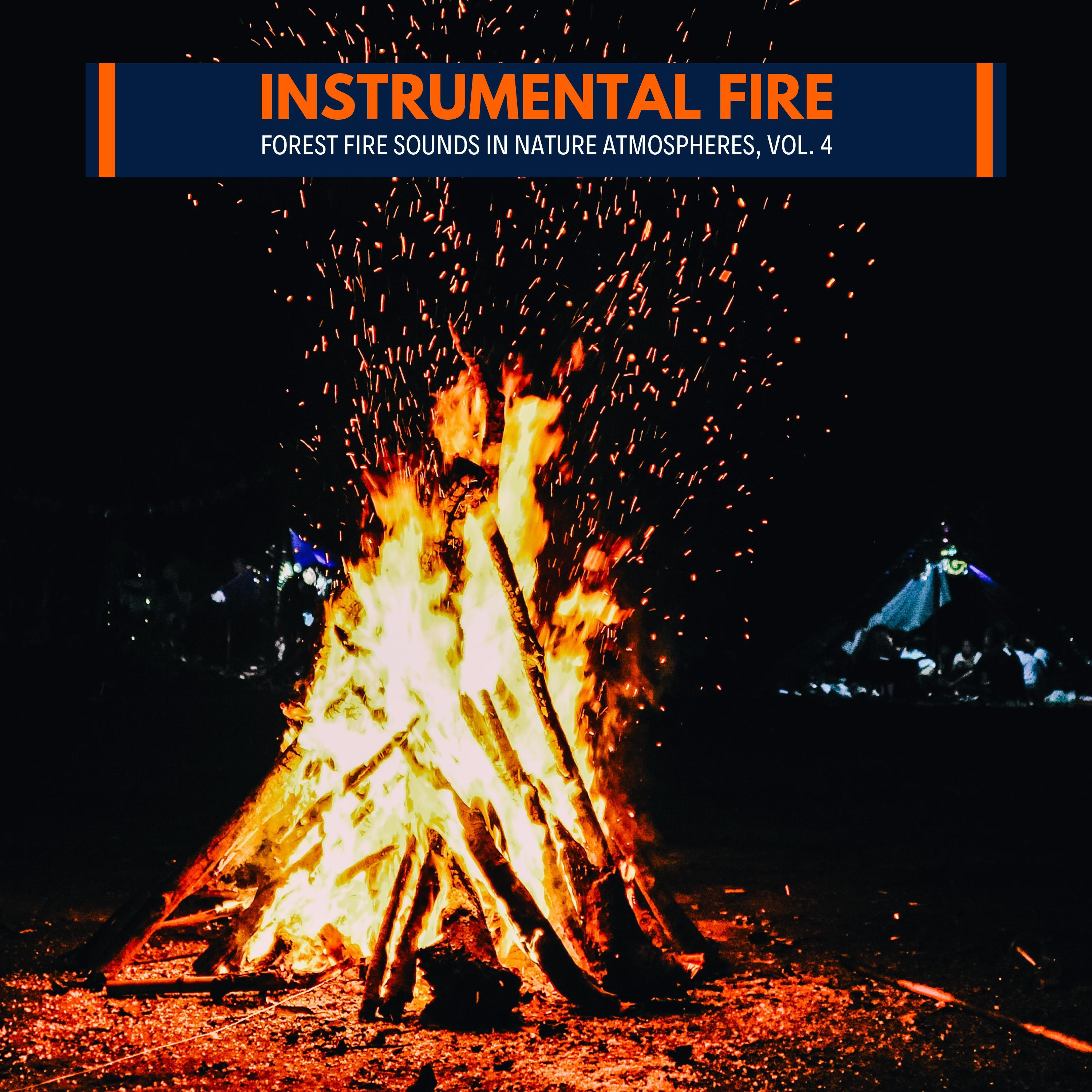 Vertical Fire Lights Nature Music - Lake Side Splashes