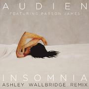 Insomnia (feat. Parson James) [Ashley Wallbridge Remix] 