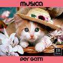 Musica Per Gatti专辑