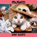 Musica Per Gatti