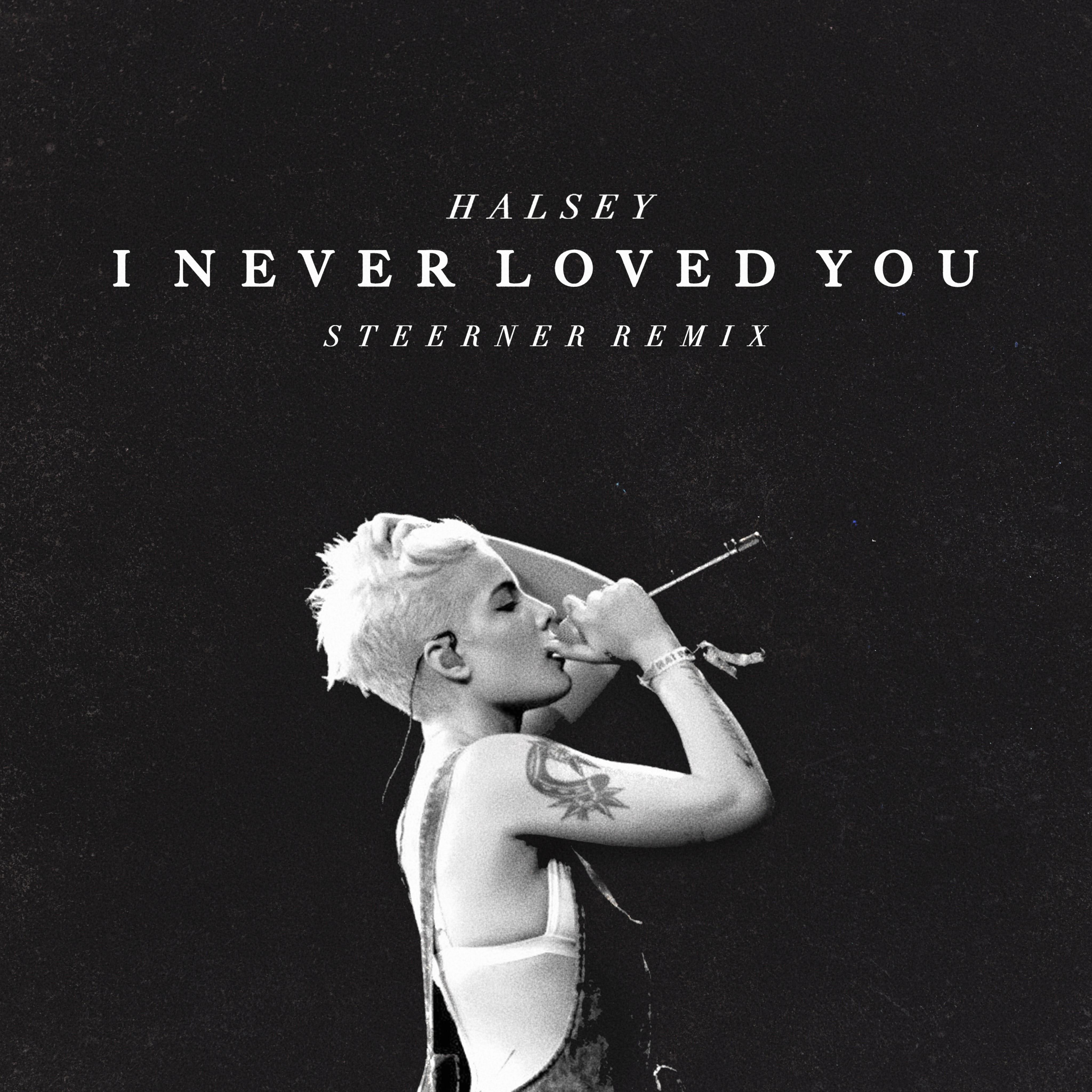 I Never Loved You (Steerner Remix)