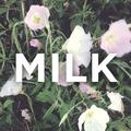 Milk