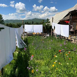 『治愈放空系』在暮色与繁花里 邂逅温柔