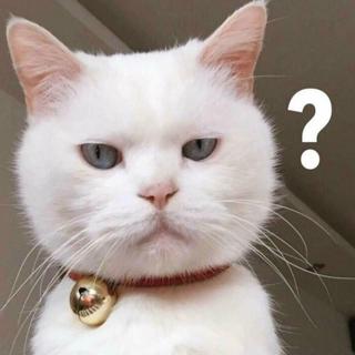 竟然这么好听，我一定是发现了新大陆！