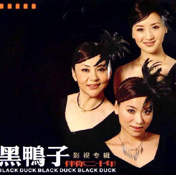 黑鸭子的唱彻心扉歌曲专辑(721首)