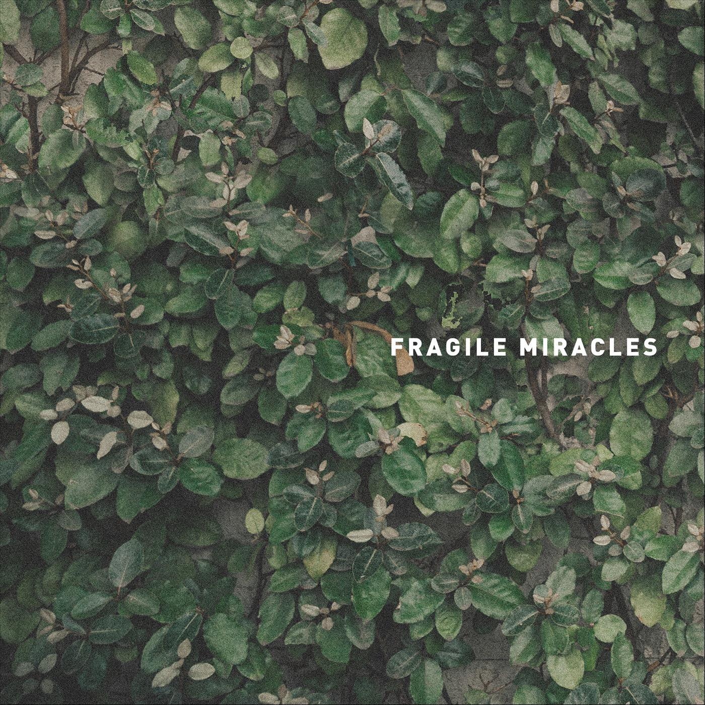 Fragile Miracles