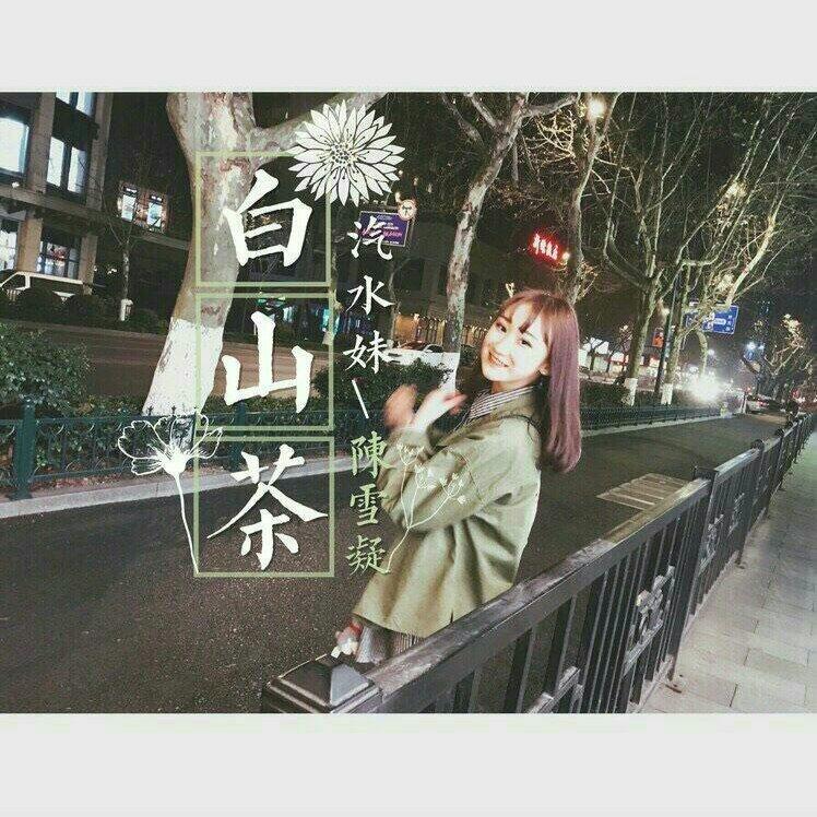 陈雪凝❤专属歌曲