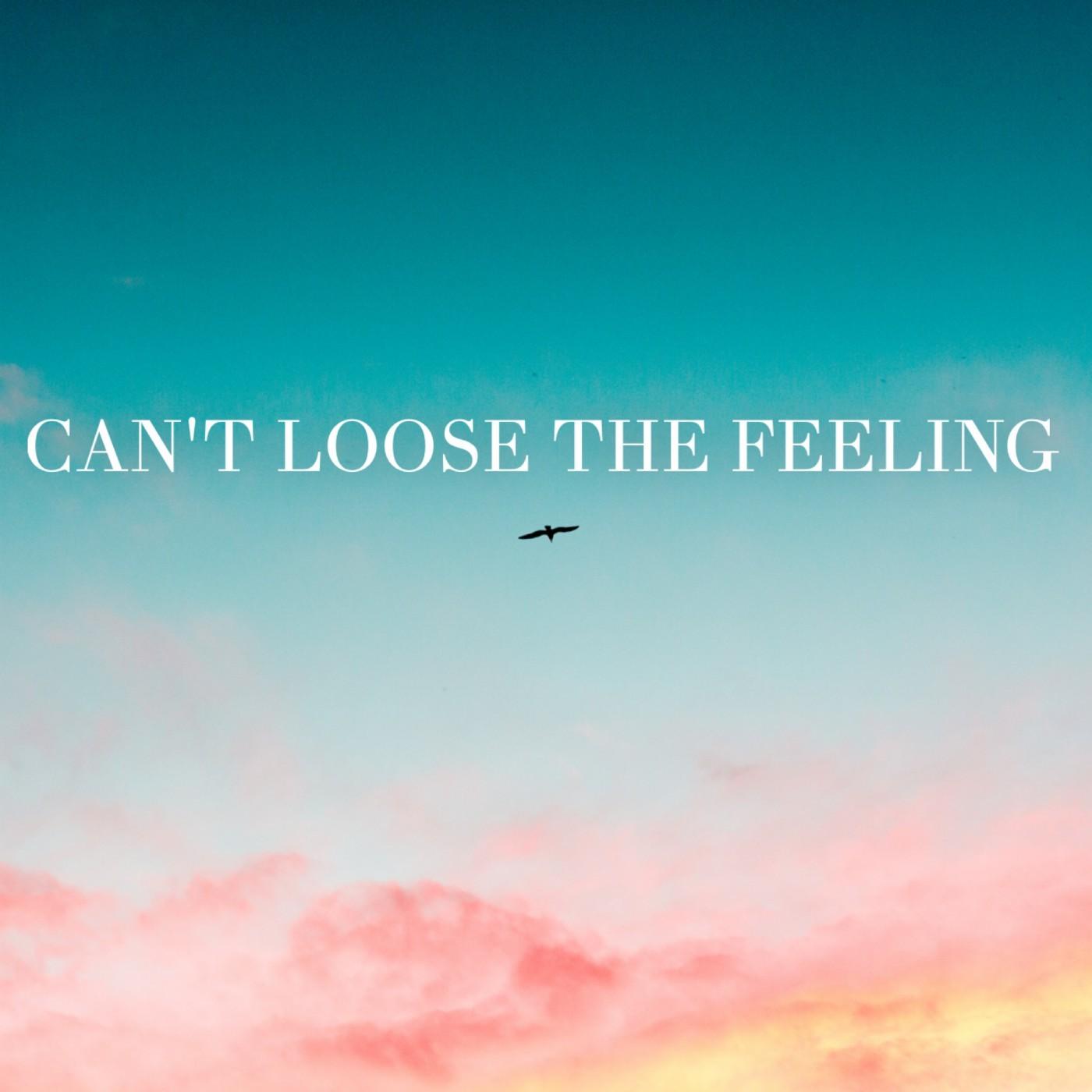 Can´t Loose the Feeling
