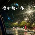 像中枪一样
