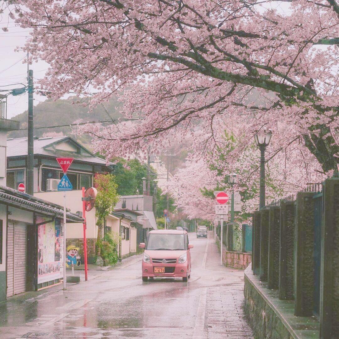 Yellow spring road in japan