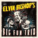Elvin Bishop's Big Fun Trio专辑